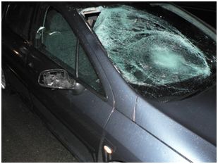 Letošní rok je na silnicích tragický především na Vysočině